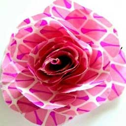 Akse Tekstil Polyester Kumaş